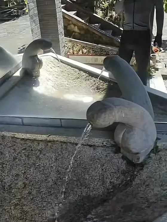 內地景區水龍頭因不雅形狀網上爆紅 網民留言:令到多少男性同胞自卑