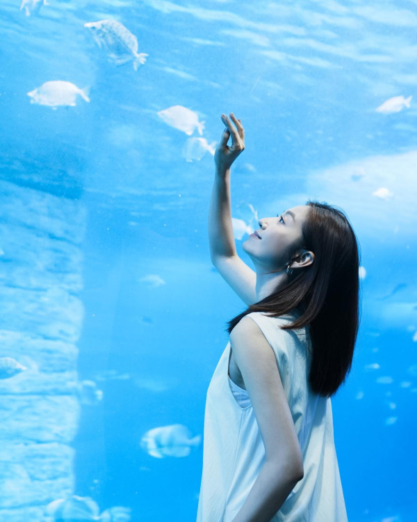 前TVB花旦鄧佩儀離巢返加拿大發展 近況曝光！激罕性感低胸造型慶32歲生日 