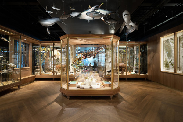 國立台灣博物館（Facebook@國立臺灣博物館）