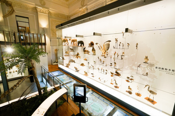 國立台灣博物館（Facebook@國立臺灣博物館）