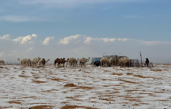 破．地獄｜旅行期間參加陌生人的喪禮？從《破．地獄》看世界7大特色殯葬文化 
