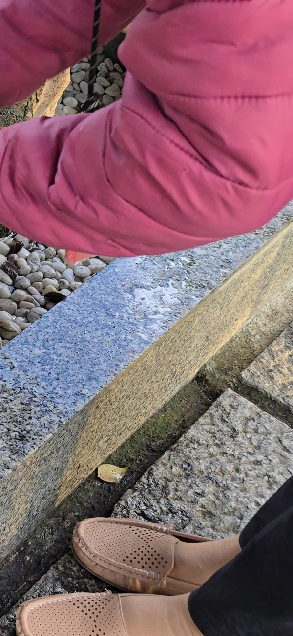 母女遊日本 失智母親大阪失蹤12小時!女兒分房睡 翌日驚覺媽媽不見了