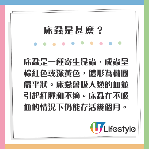 住酒店有床蝨無有怕！空姐教路檢查酒店床蝨3技巧 1行為可引出床蝨