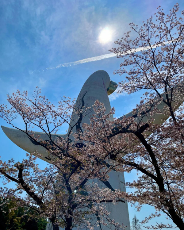 萬博紀念公園（圖片來源：Facebook@万博記念公園）