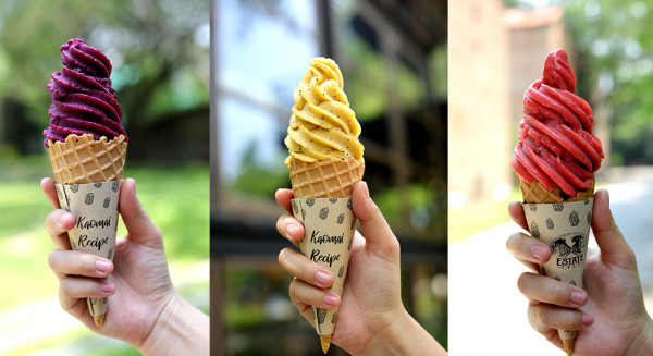 清邁高CP值住宿人均每晚7起!60年歷史煙廠變身度假村 設玻璃屋café/茶館/Spa