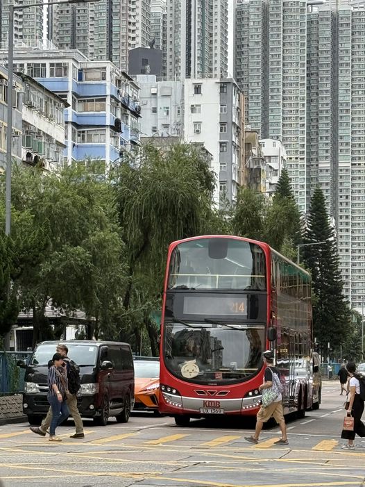 九巴車長疑被禁在巴士放私人物品！Usagi兔兔慘變「錯誤示範」遭批：無人情味