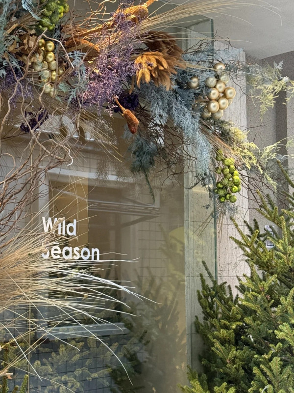 南頭古城（圖片來源：小紅書@男孩與花FloralStudio）