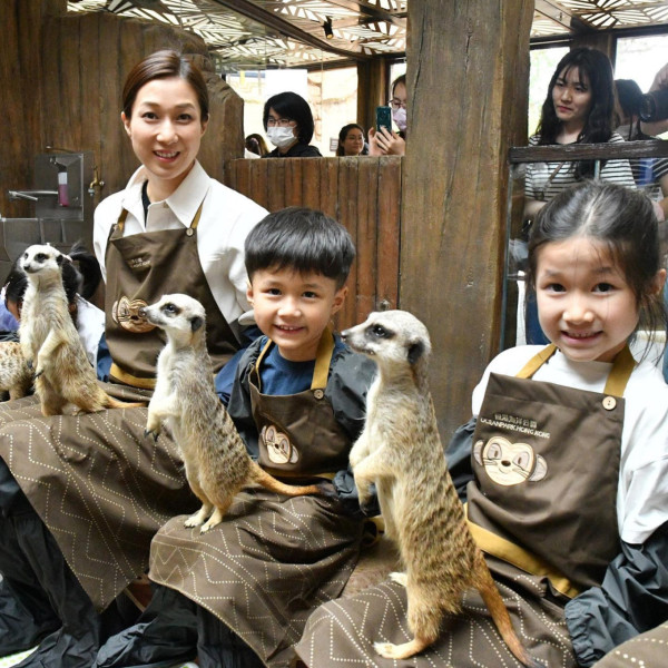 40歲鍾嘉欣帶家人遊越南 素顏打扮仍引人圍觀 仔女美貌成焦點