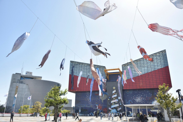 大阪海遊館（圖片來源：Facebook@海遊館 Osaka Aquarium Kaiyukan）