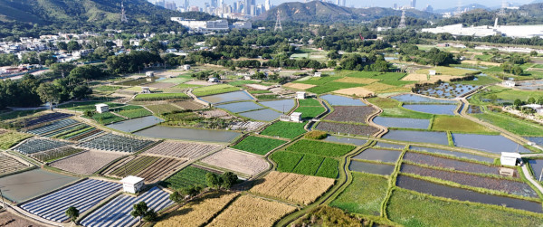 上水塱原自然生態公園開幕！公眾可免費觀賞雀鳥／探訪農業區及生態區（附交通詳情）