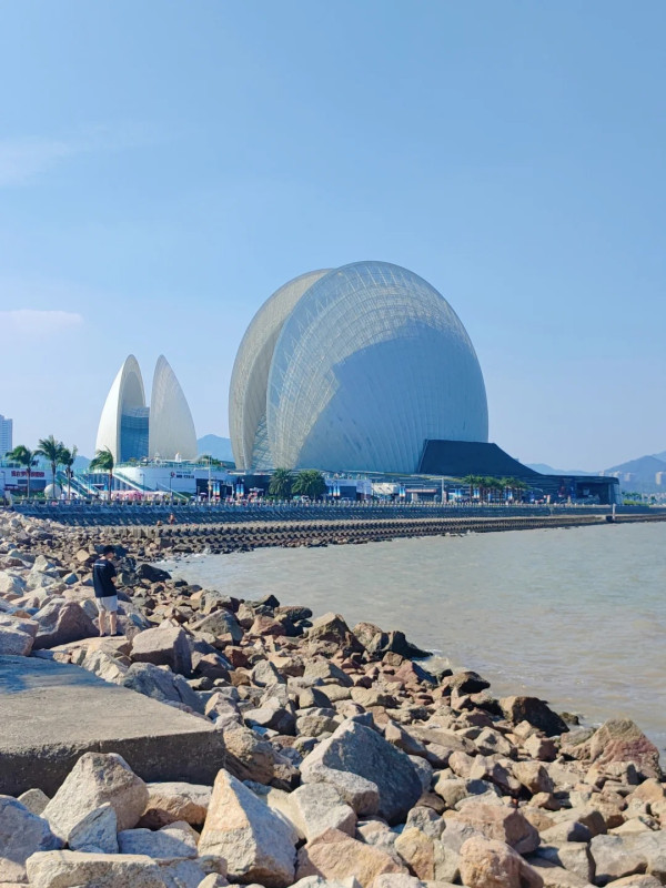 日月貝(圖片來源:小紅書@遙小粒子) 日月貝(圖片來源:小紅書@遙小粒子)