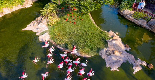 長隆橫琴灣酒店(圖片來源:酒店官網) 長隆橫琴灣酒店(圖片來源:酒店官網)