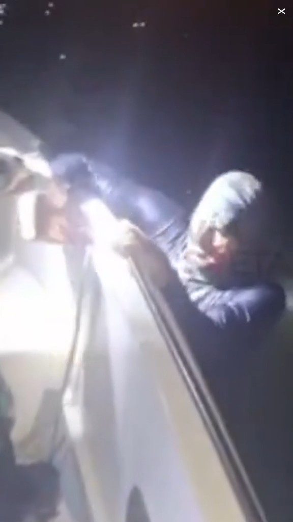 走私客趁深夜扮植物過河 警察發現形跡可疑揭發 結局超爆笑 