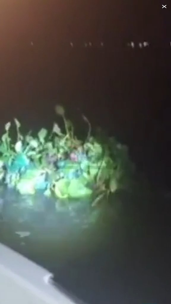 走私客趁深夜扮植物過河 警察發現形跡可疑揭發 結局超爆笑 