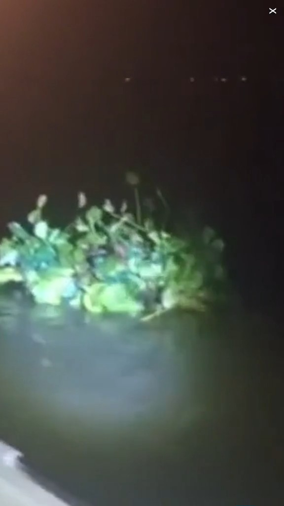 走私客趁深夜扮植物過河 警察發現形跡可疑揭發 結局超爆笑 