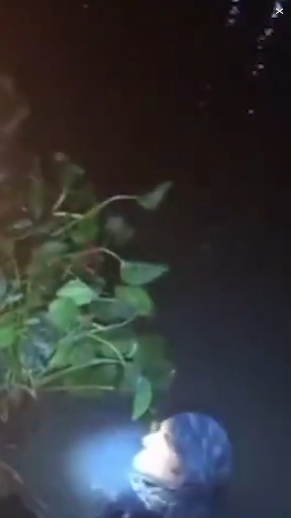 走私客趁深夜扮植物過河 警察發現形跡可疑揭發 結局超爆笑 