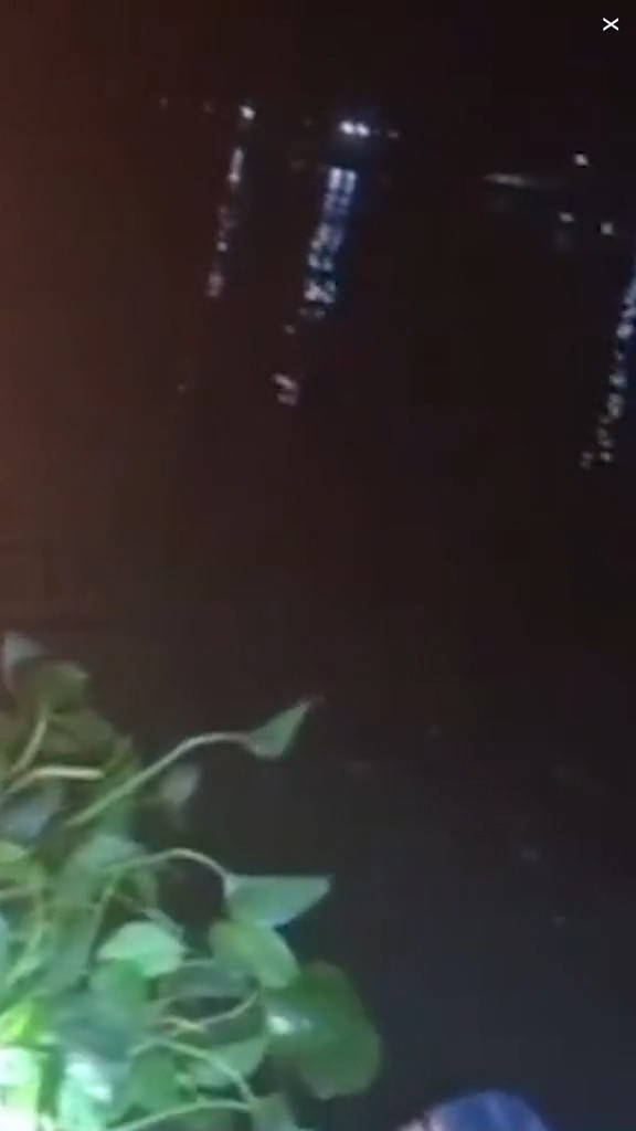 走私客趁深夜扮植物過河 警察發現形跡可疑揭發 結局超爆笑 