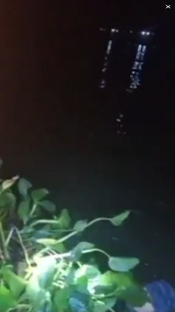 走私客趁深夜扮植物過河 警察發現形跡可疑揭發 結局超爆笑 