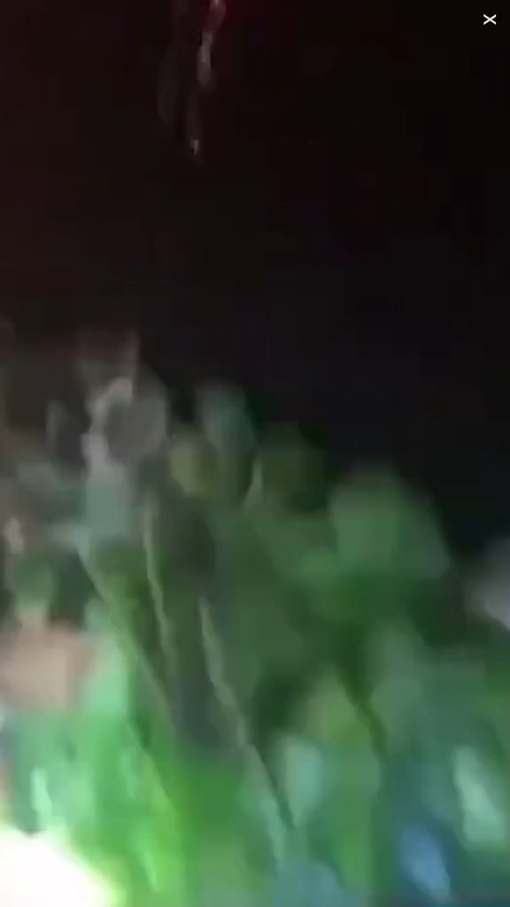 走私客趁深夜扮植物過河 警察發現形跡可疑揭發 結局超爆笑 