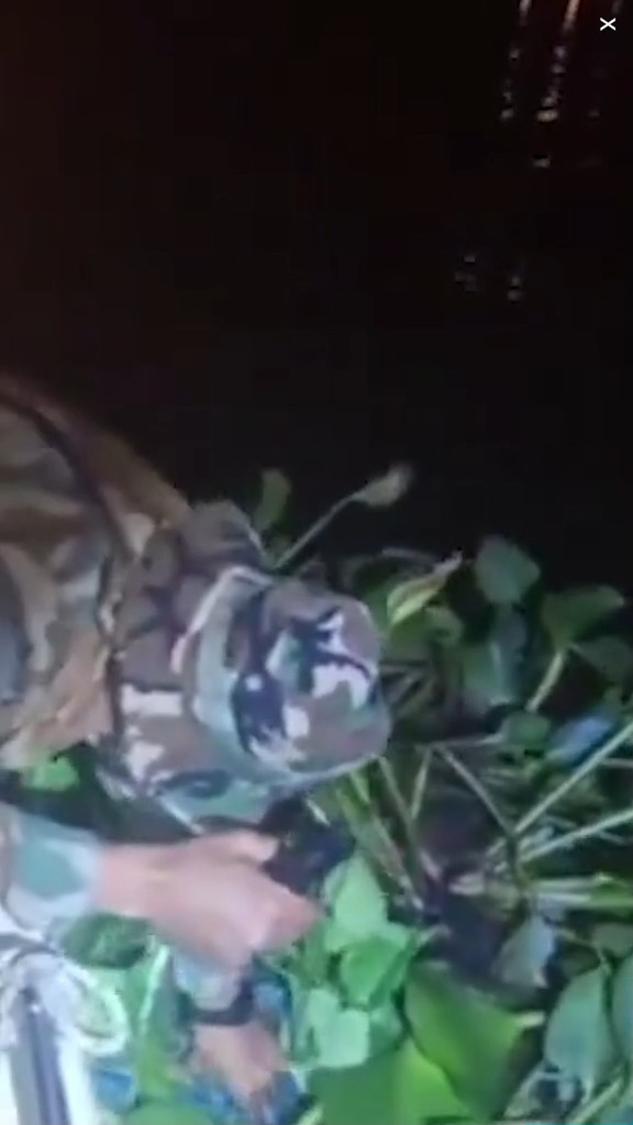 走私客趁深夜扮植物過河 警察發現形跡可疑揭發 結局超爆笑 