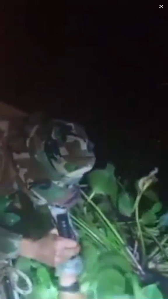 走私客趁深夜扮植物過河 警察發現形跡可疑揭發 結局超爆笑 