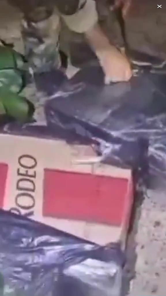 走私客趁深夜扮植物過河 警察發現形跡可疑揭發 結局超爆笑 