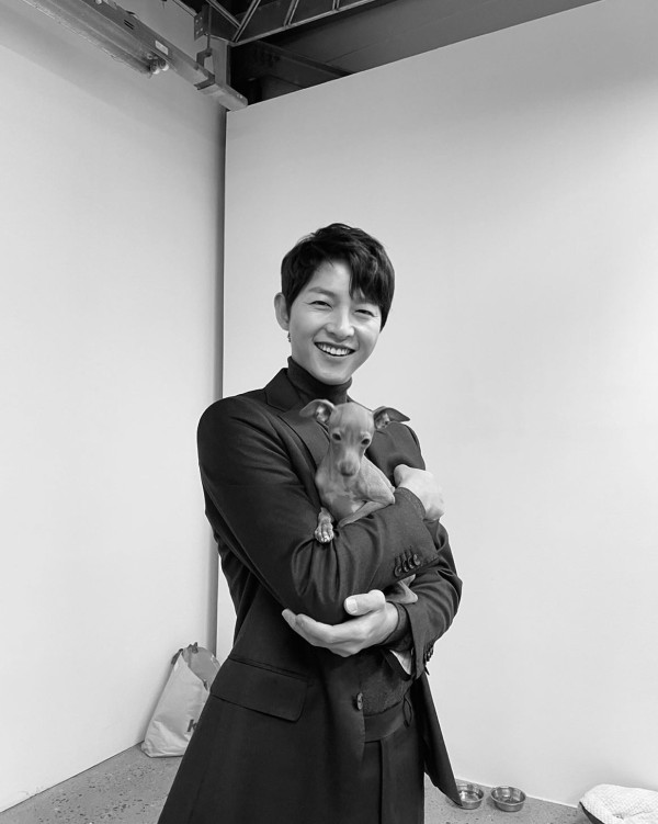 處女座男生10大性格特質：分析處女男喜歡你的行為、愛情攻略、優缺點（圖片來源：hi_songjoongki）