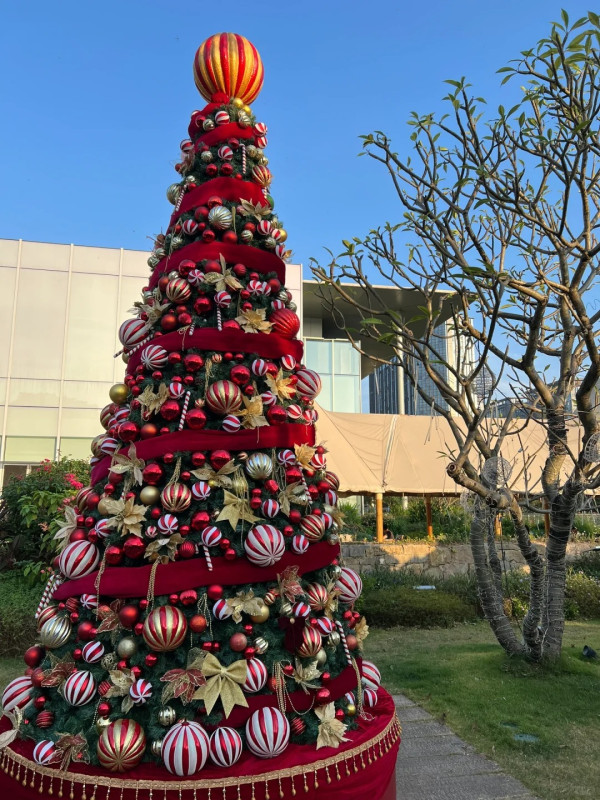 尼斯咖啡 Nice coffee&bakery（圖片來源︰小紅書@生了個椰拿了個鐵）