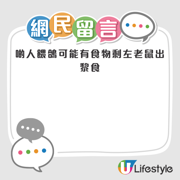 將軍澳坑口一帶驚變老鼠樂園！鴿患鼠患滋擾街坊 網民直呼「好恐怖」！非法餵飼野生動物最高可罰6位數！