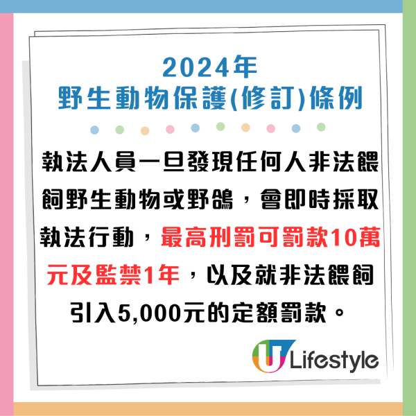 將軍澳坑口一帶驚變老鼠樂園！鴿患鼠患滋擾街坊 網民直呼「好恐怖」！非法餵飼野生動物最高可罰6位數！