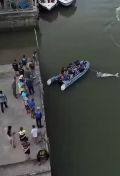 布吉島驚現無頭「美人魚」浮屍 疑因牙齒可「避邪」遭到獵殺斬首 