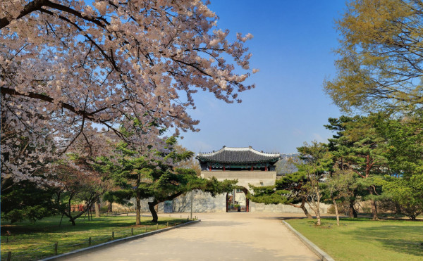 景福宮（圖片來源：royal.cha.go.kr）