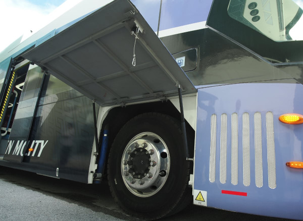 日本養雞場接連爆發禽流感 過百萬隻雞被撲殺 日本蛋價或上漲