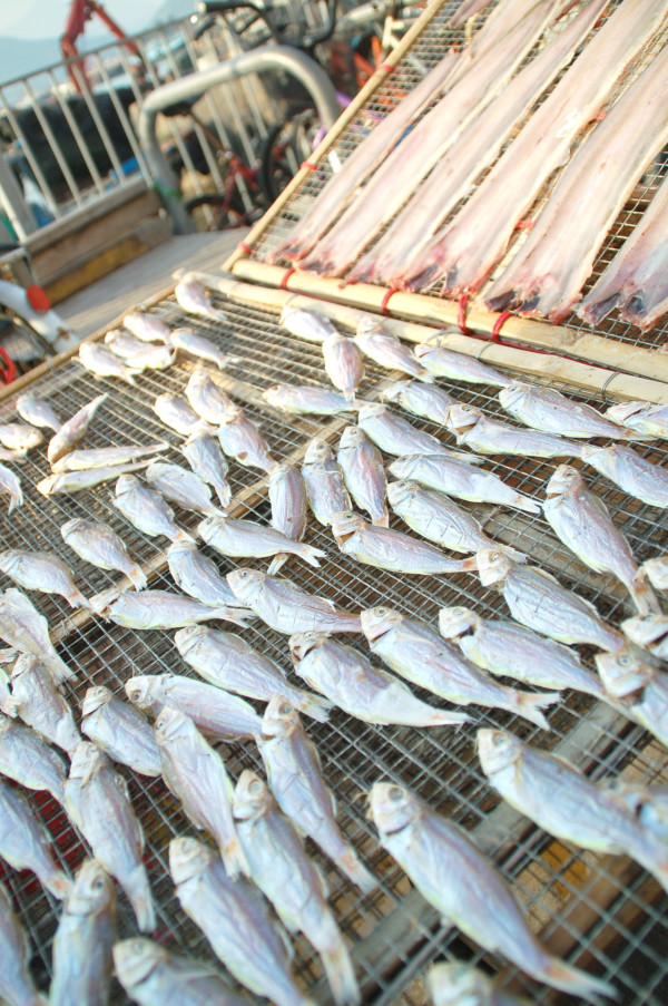 小雪節氣2025｜小雪養生9大溫補食材 防寒養腎湯水推介【附小雪禁忌習俗】