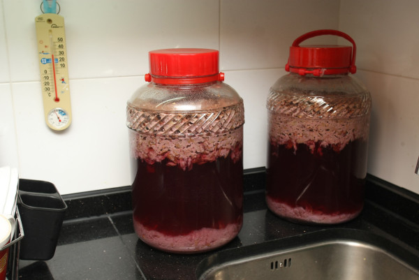 小雪節氣2025｜小雪養生9大溫補食材 防寒養腎湯水推介【附小雪禁忌習俗】