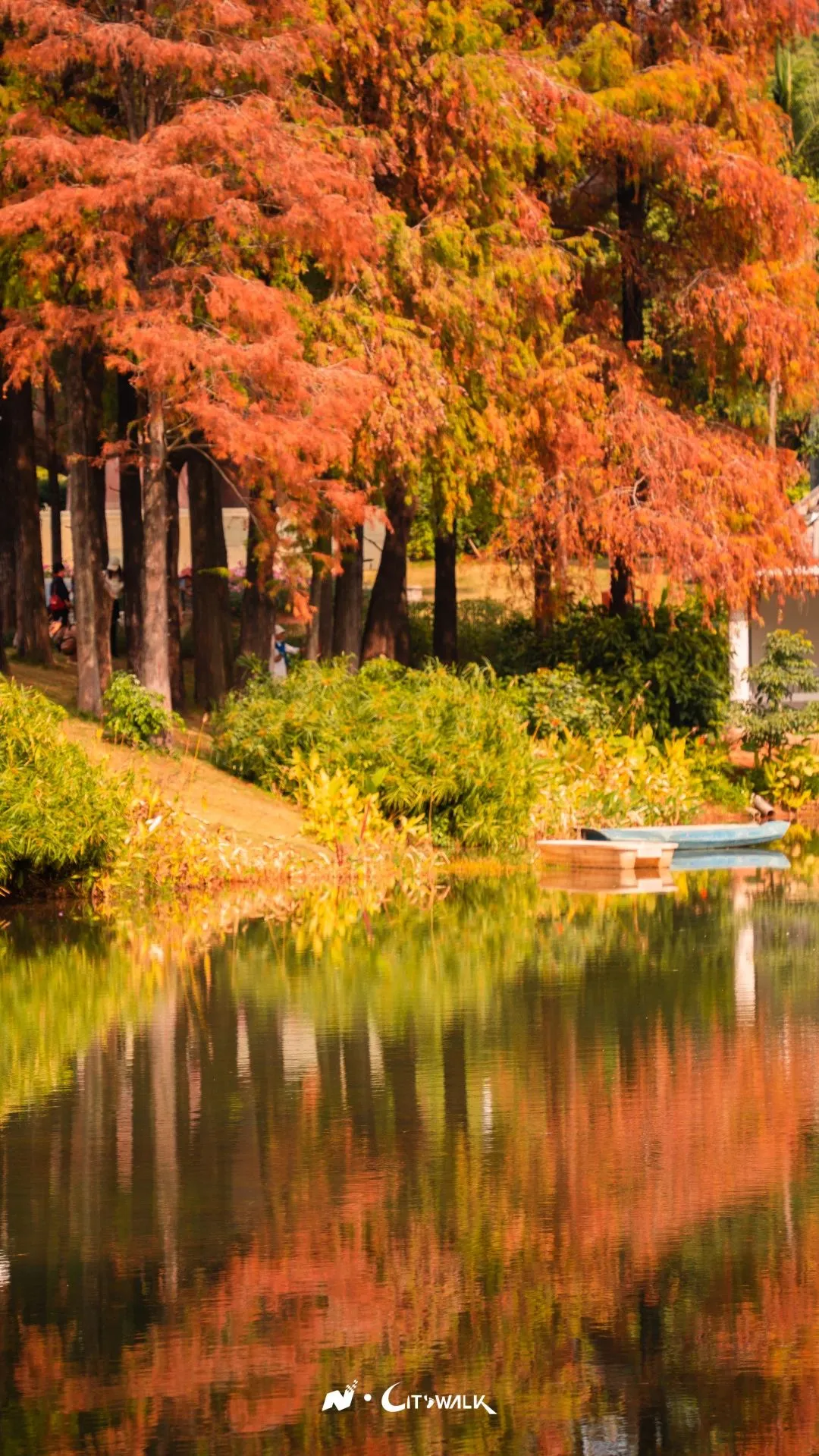 四海公園（圖片來源：創新南山微信公眾號）