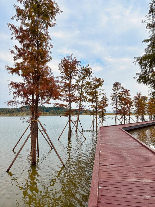 九圍濕地公園（圖片來源：小紅書＠蛋黄派）