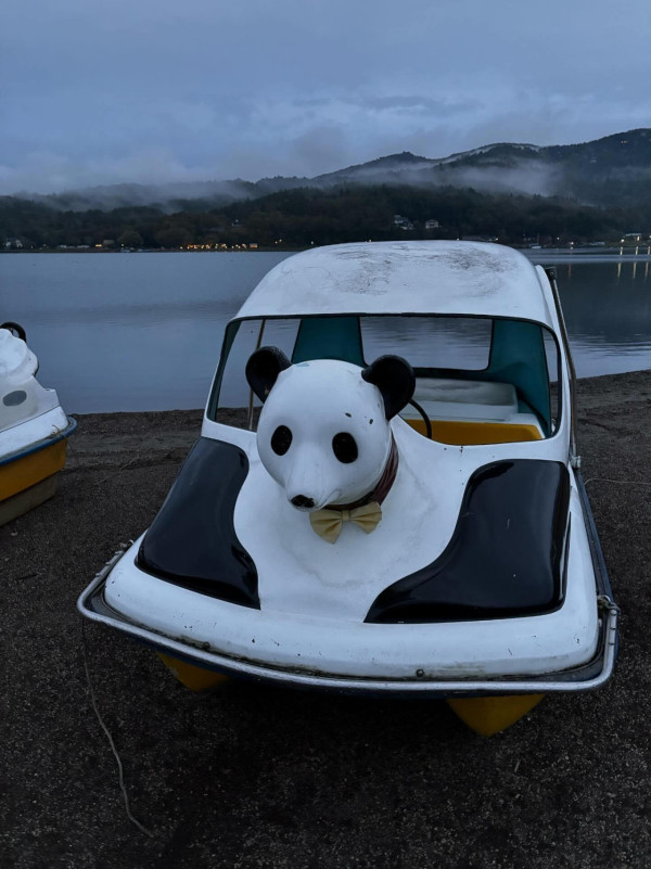 小提琴家跟團遊沖繩住酒店中伏 自嘲似工人房 網友：加錢同導遊換房 