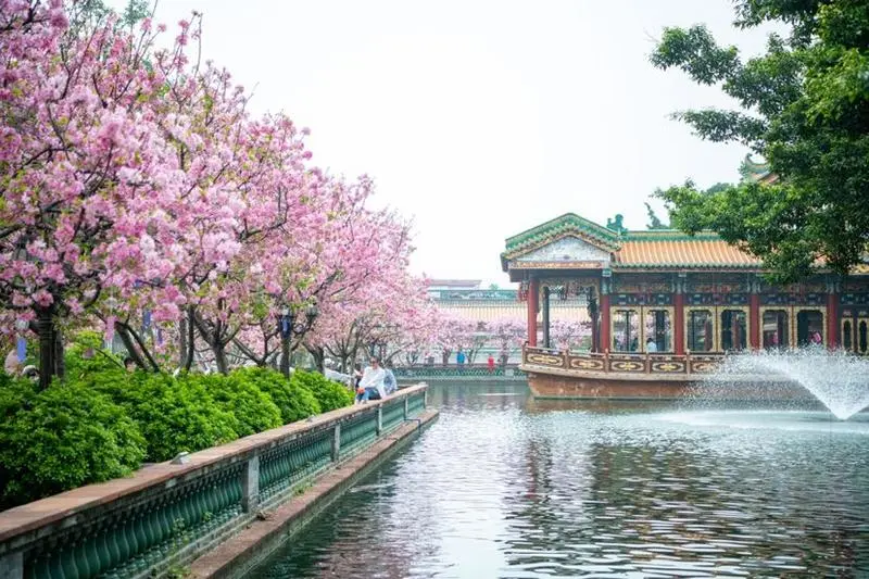 寶墨園（圖片來源：微博@廣州番禺發布）