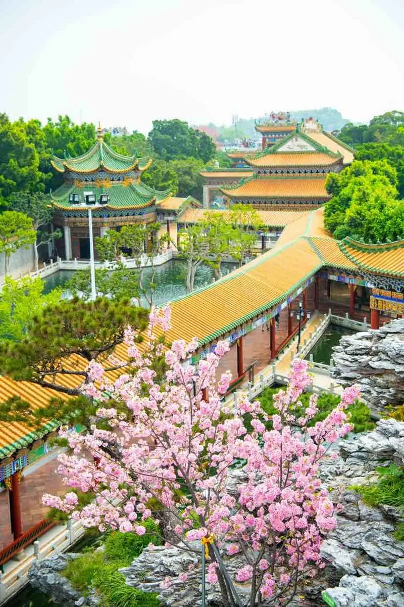 寶墨園（圖片來源：微博@廣州番禺發布）