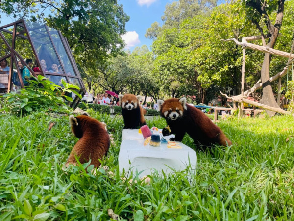 廣州動物園（圖片來源：小紅書＠廣州動物園）