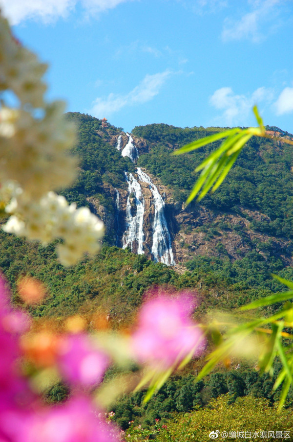 白水寨（圖片來源：微博＠增城白水寨風景區）