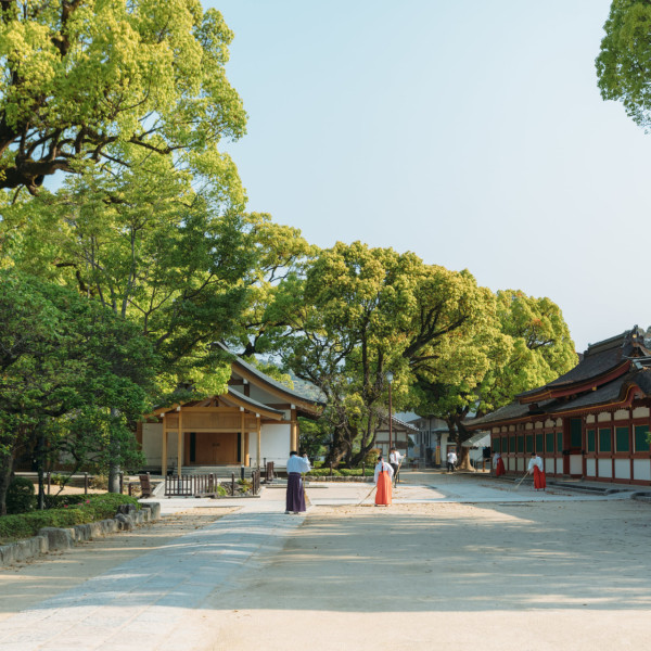 太宰府天滿宮（圖片來源：Facebook@太宰府天満宮）