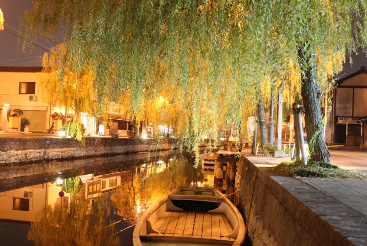 柳川（圖片來源：日本觀光局）