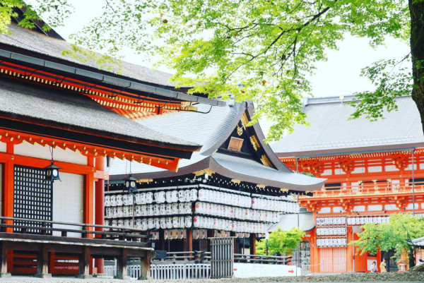 八坂神社（圖片來源：Facebook@京都祇園　八坂神社）