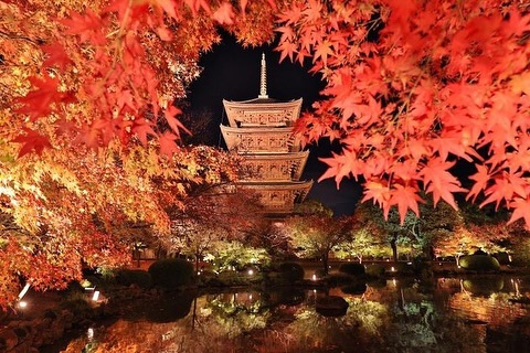 東寺（圖片來源：IG@toji_koboichi__official）