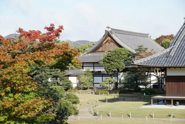 二條城（圖片來源：Facebook@世界遺産・二条城 World Heritage Site Nijo-jo castle）