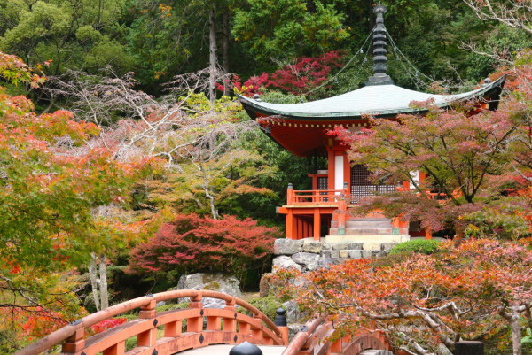 醍醐寺（圖片來源：Facebook@総本山醍醐寺）