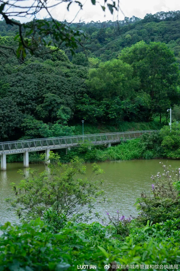 羅田森林公園（圖片來源：微博＠深圳市城市管理和綜合執法局）