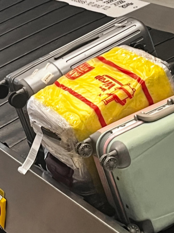 港人帶病硬闖日本航機 妻女發燒黐退熱貼 1原因辯解惹狠批